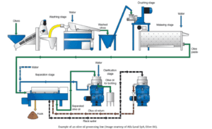 Virgin-olive-oil-making- flow-chart-olive-mill